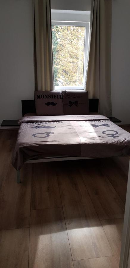 Dnd-X Hotel Pancsova Kültér fotó